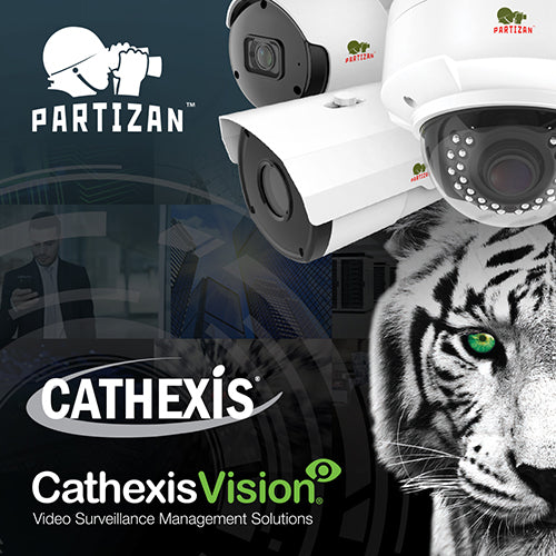 Інтеграція Partizan Security і Cathexis Europe Ltd: тестування завершено!