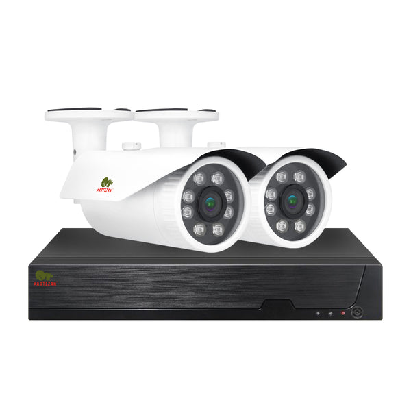 2.0MP Набор для улицы PRO AHD-42<br>2xCAM + 1xDVR + HDD